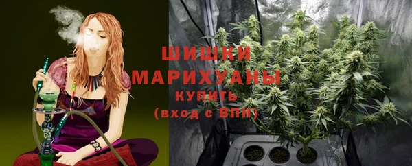прущие крисы Гусиноозёрск