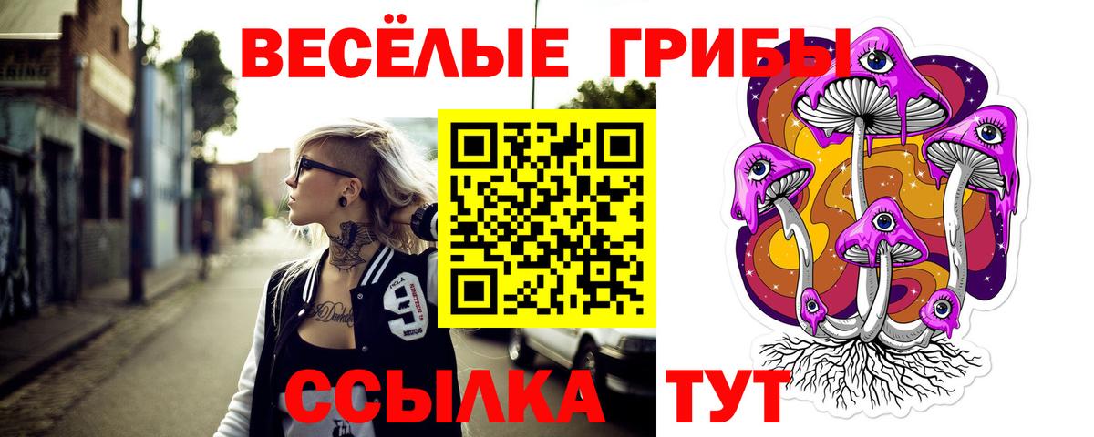 Дюртюли  Псилоцибиновые грибы мухоморы  Вход с VPN 